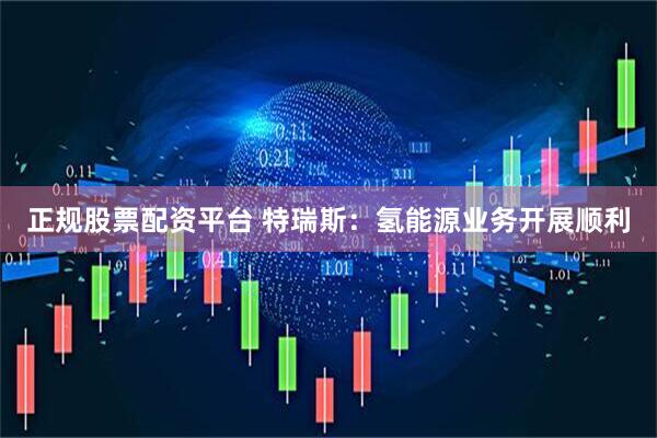正规股票配资平台 特瑞斯：氢能源业务开展顺利