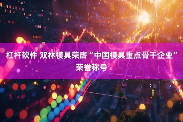 杠杆软件 双林模具荣膺“中国模具重点骨干企业”荣誉称号